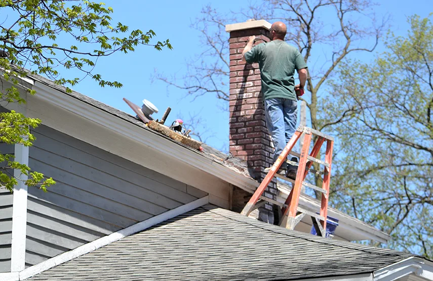 Chimney & Fireplace Inspections Services in North New Hyde Park, NY